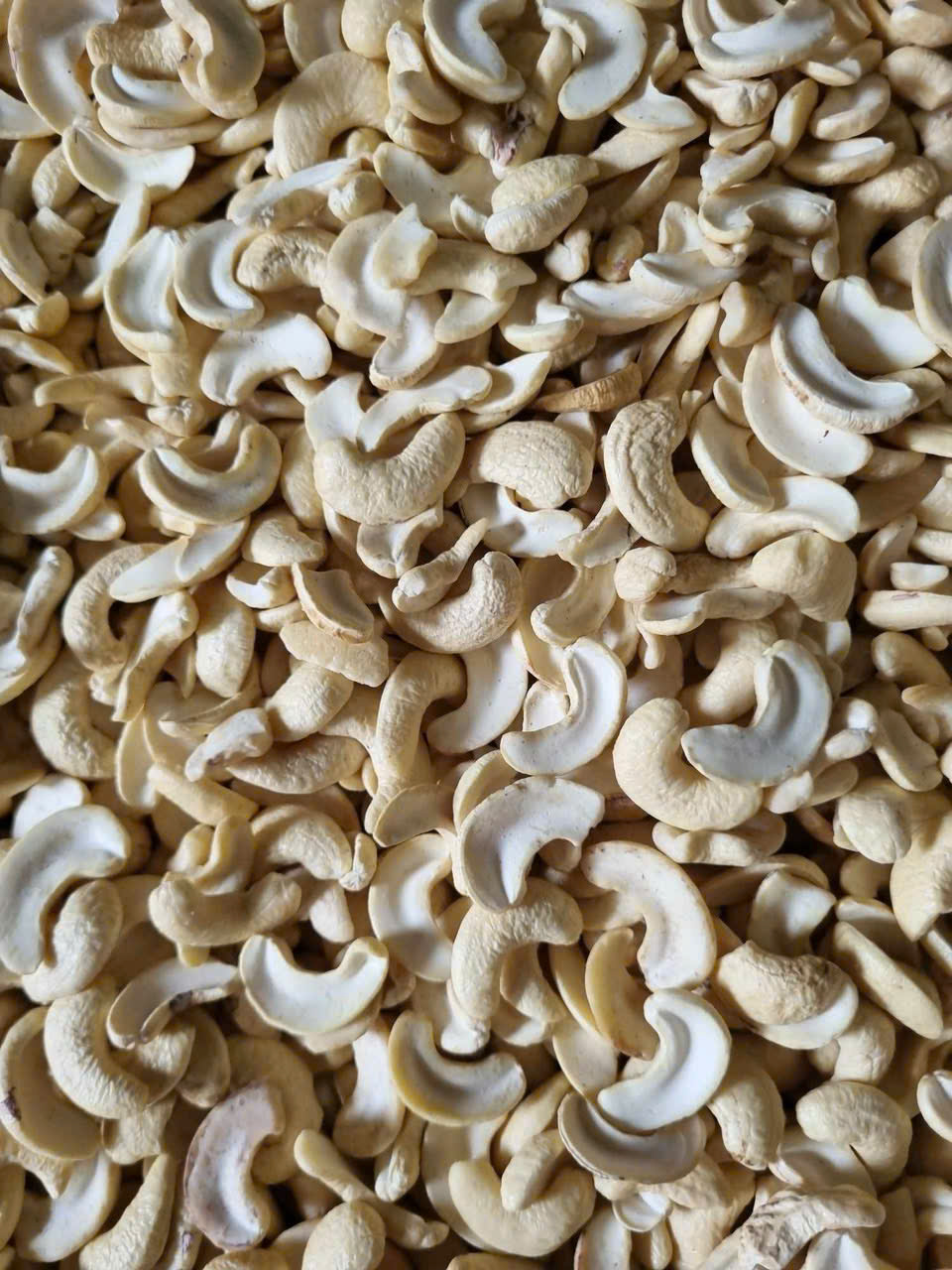 Raw Cashew nut Kernel Split MEDIUM SIZE ( WS2)-22.68kg/box  price for 1 box