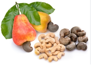 Vietnam cashew market update end of July 2024