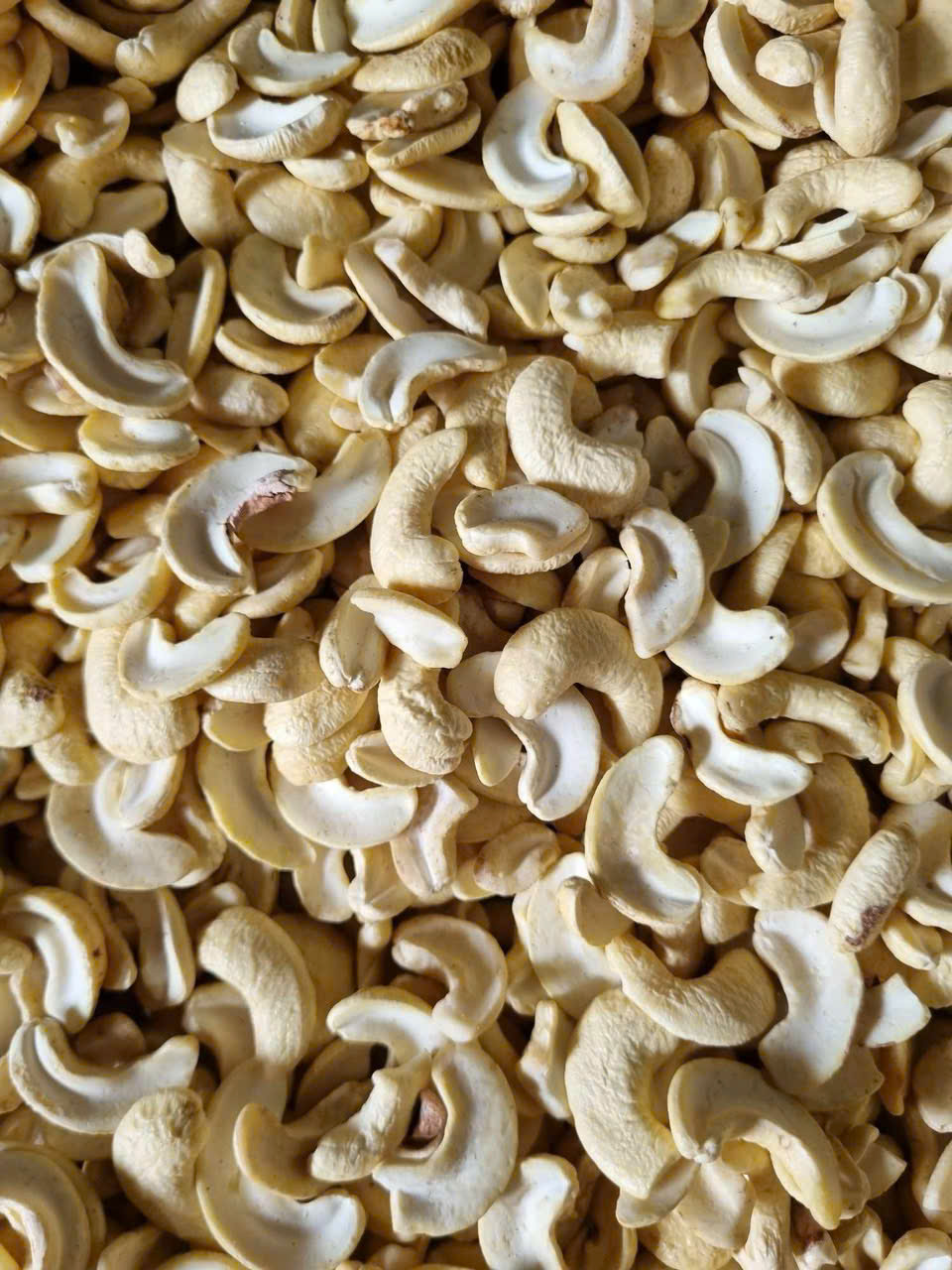 Raw Cashew nut Kernel Split MEDIUM SIZE ( WS2)-22.68kg/box  price for 1 box