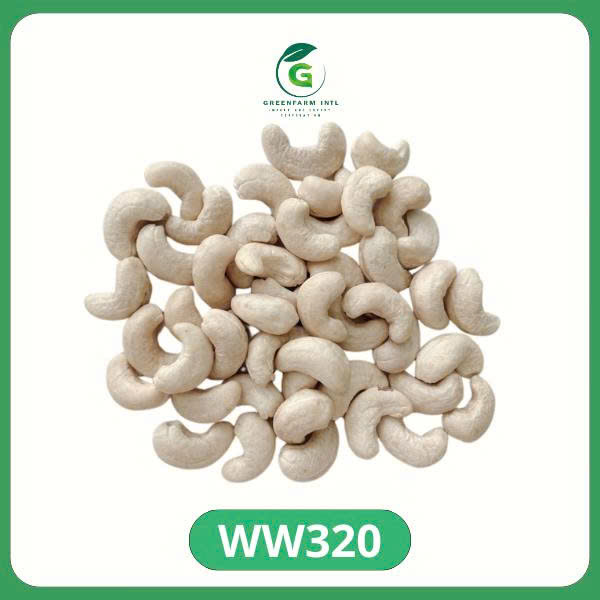 Raw Cashew nut Kernel Whole nut MEDIUM SIZE ( WW320)- 22.68 kg/ box